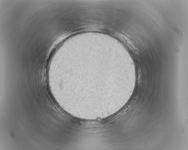 X0000115511164200912181439