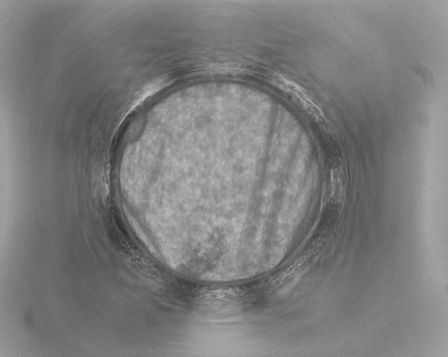 X0000115511165200912181439