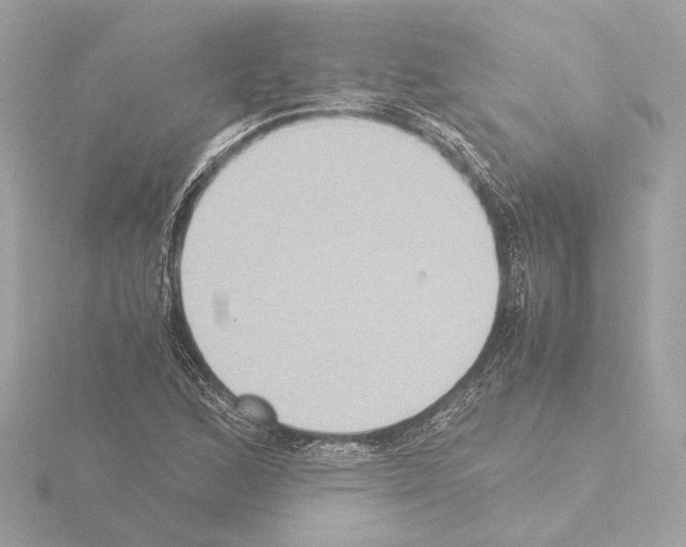 X0000115511168200912181439