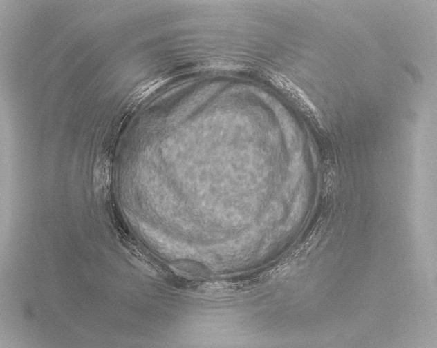 X0000115511169200912181439