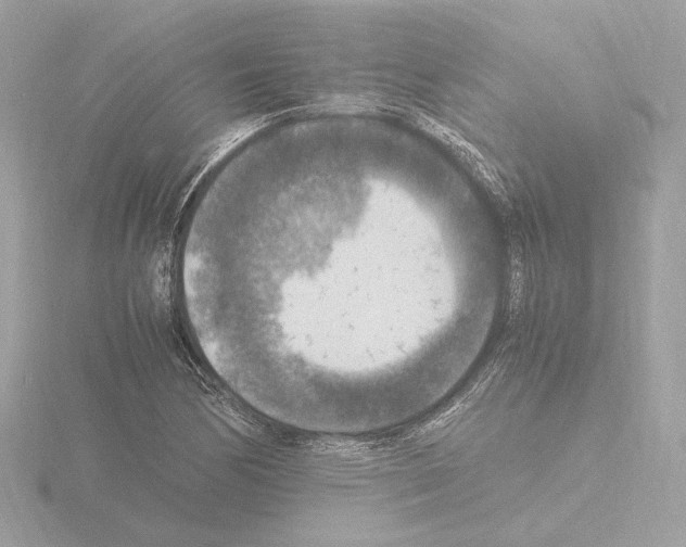 X0000115511170200912181439