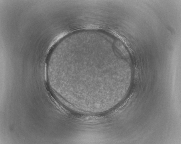 X0000115511171200912181439