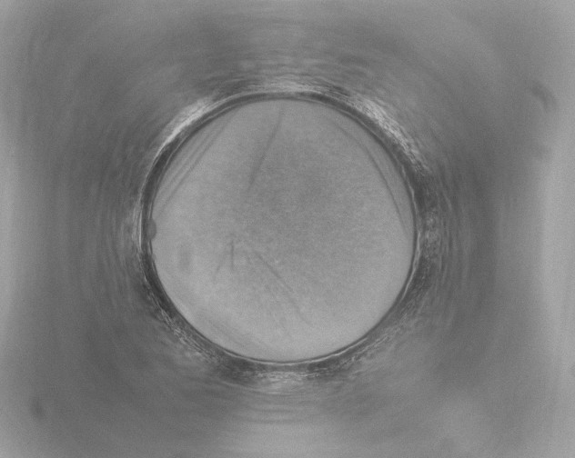 X0000115511173200912181439