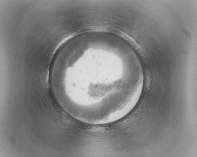 X0000115511174200912181439