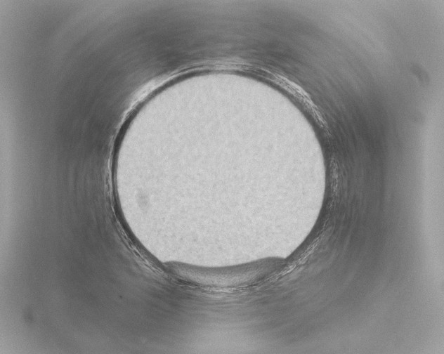 X0000115511176200912181439