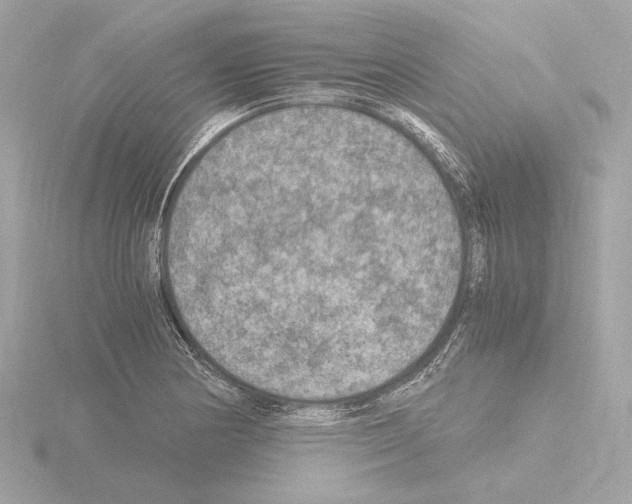 X0000115511178200912181439