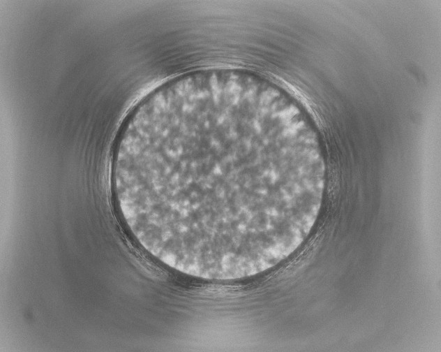 X0000115511179200912181439