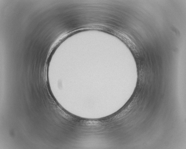 X0000115511180200912181439