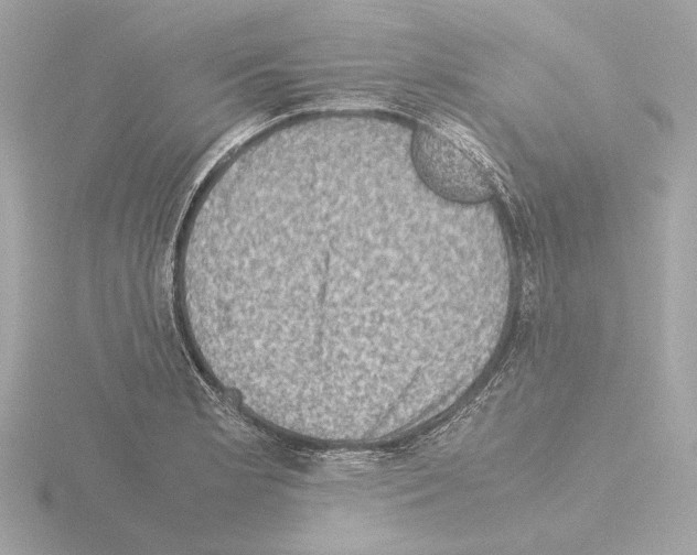 X0000115511181200912181439