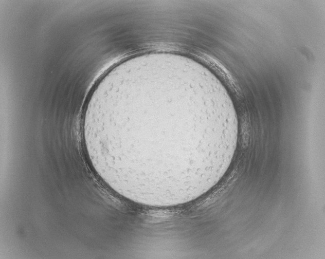 X0000115511182200912181439