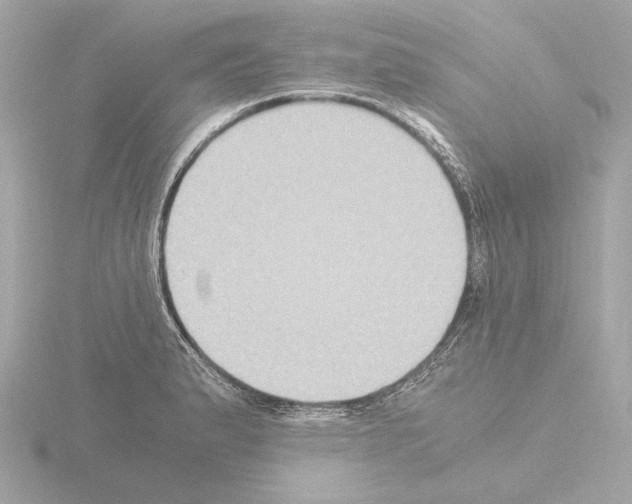 X0000115511183200912181439