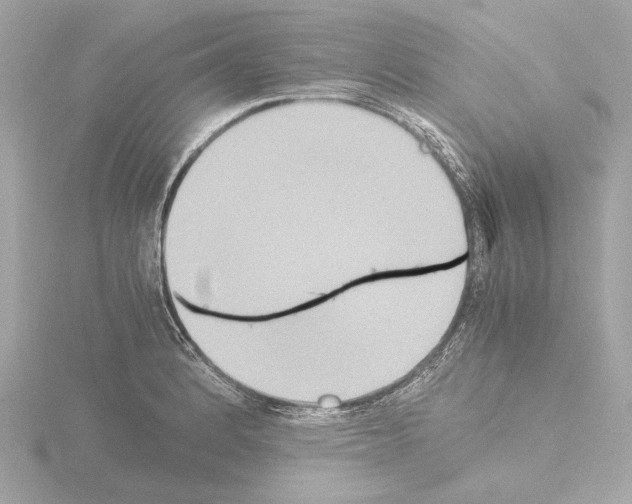 X0000115511184200912181439