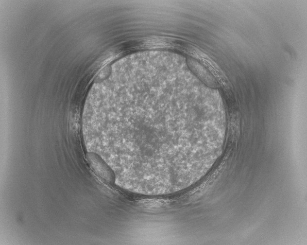 X0000115511185200912181439