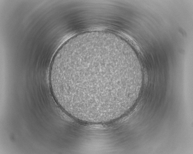 X0000115511186200912181439