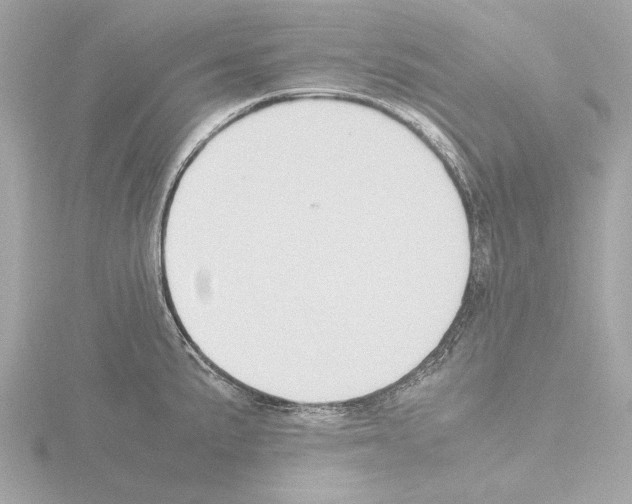 X0000115511191200912181439