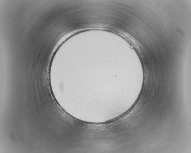 X0000115511192200912181439