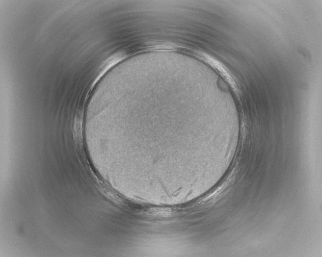 X0000115511194200912181439