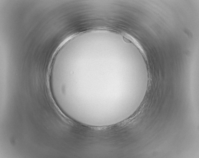 X0000115511195200912181439