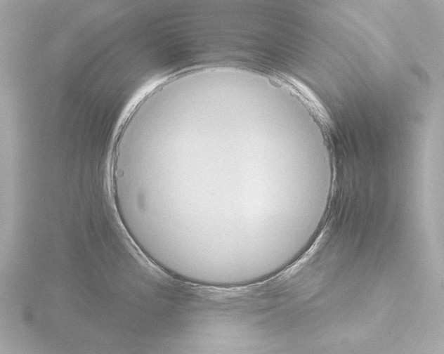 X0000115511196200912181439