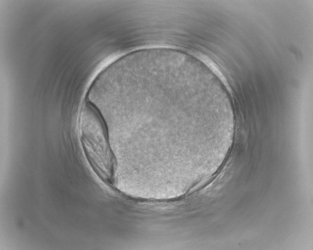 X0000115511197200912181439