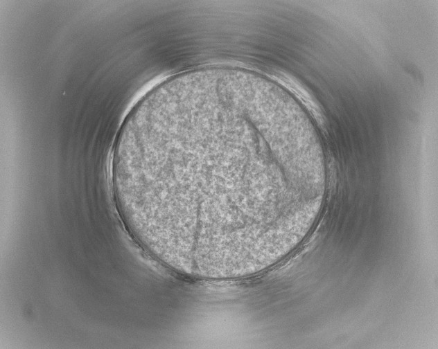 X0000115511198200912181439