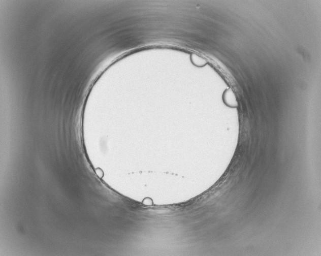 X0000115511199200912181439