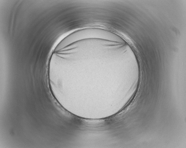 X0000115511200200912181439