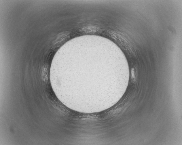 X0000115511203200912181438