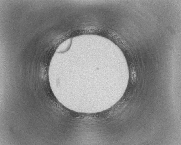 X0000115511204200912181438