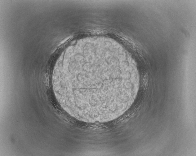 X0000115511205200912181438