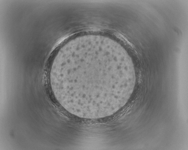 X0000115511208200912181438