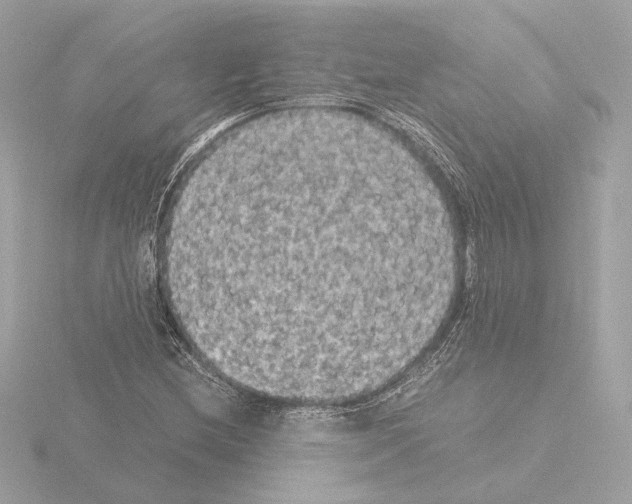 X0000115511212200912181438