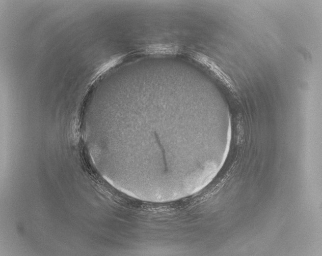 X0000115511213200912181438