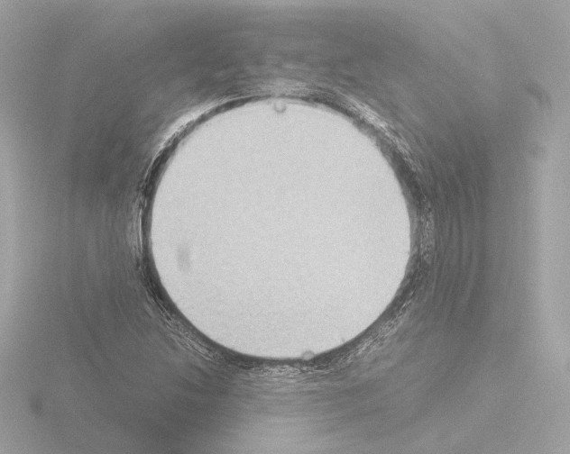 X0000115511214200912181438