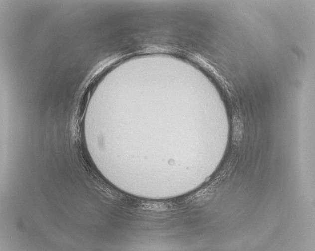 X0000115511215200912181438