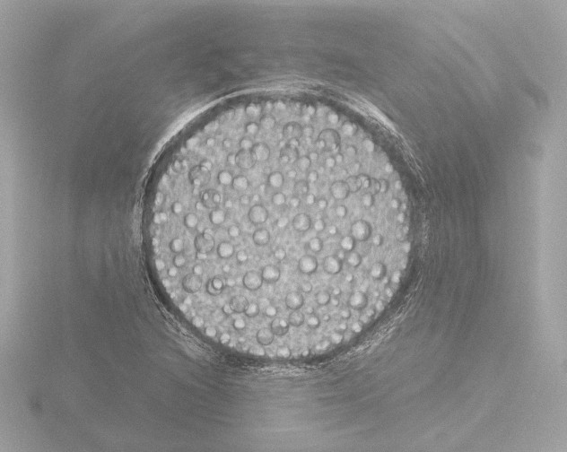 X0000115511216200912181438