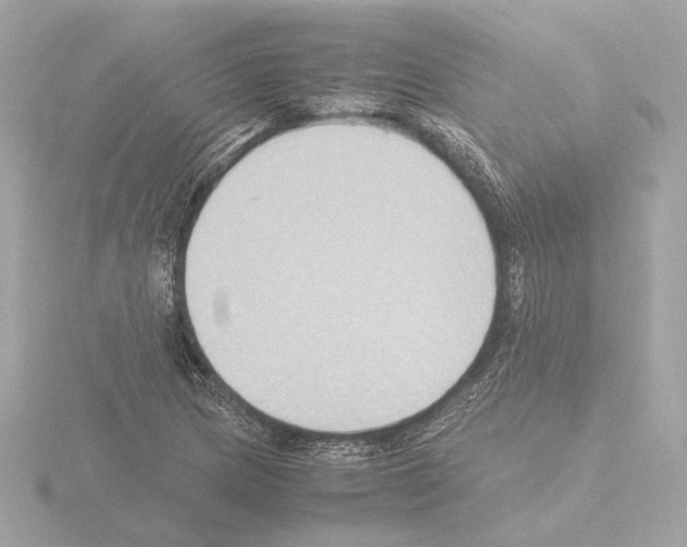 X0000115511217200912181438