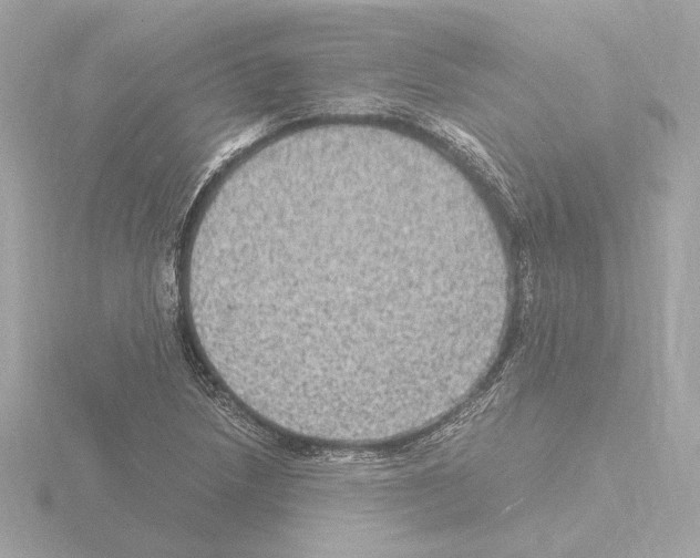 X0000115511218200912181438