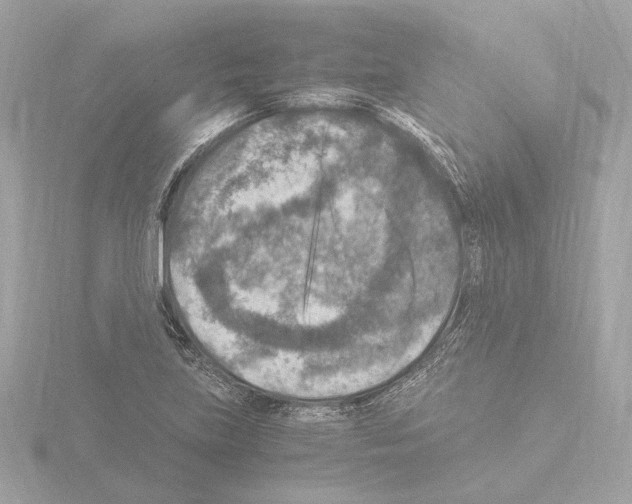 X0000115511219200912181438