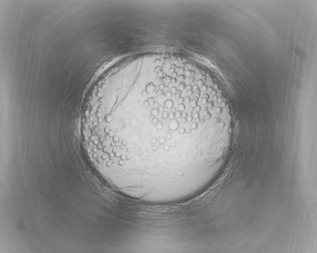 X0000115511220200912181438