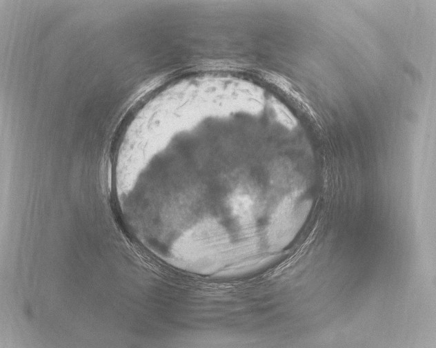 X0000115511221200912181438