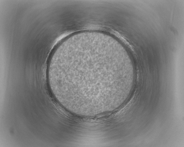 X0000115511222200912181438