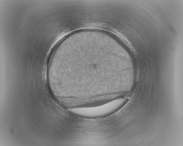 X0000115511224200912181438