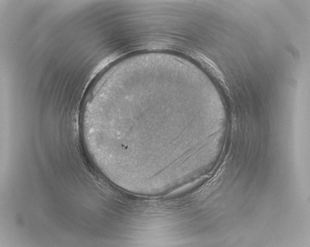 X0000115511226200912181438