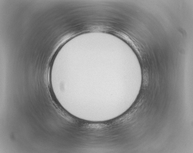 X0000115511227200912181438