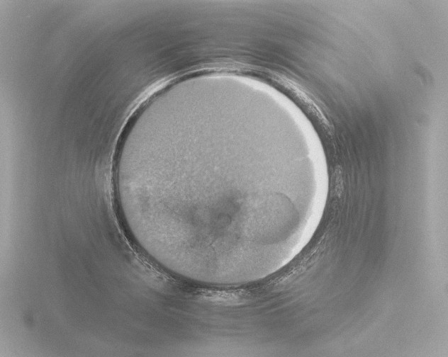 X0000115511229200912181438