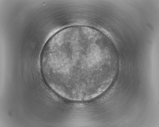 X0000115511230200912181438