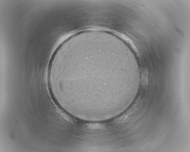 X0000115511231200912181438