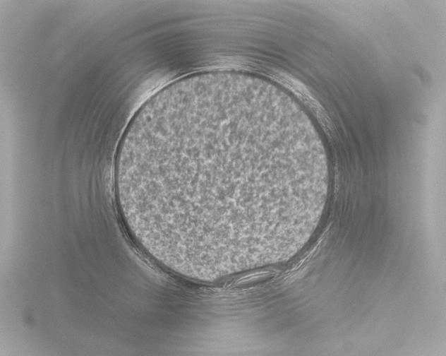 X0000115511234200912181438