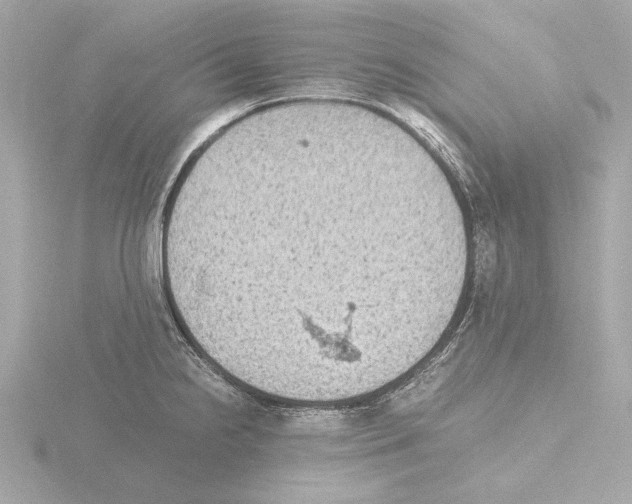 X0000115511238200912181438